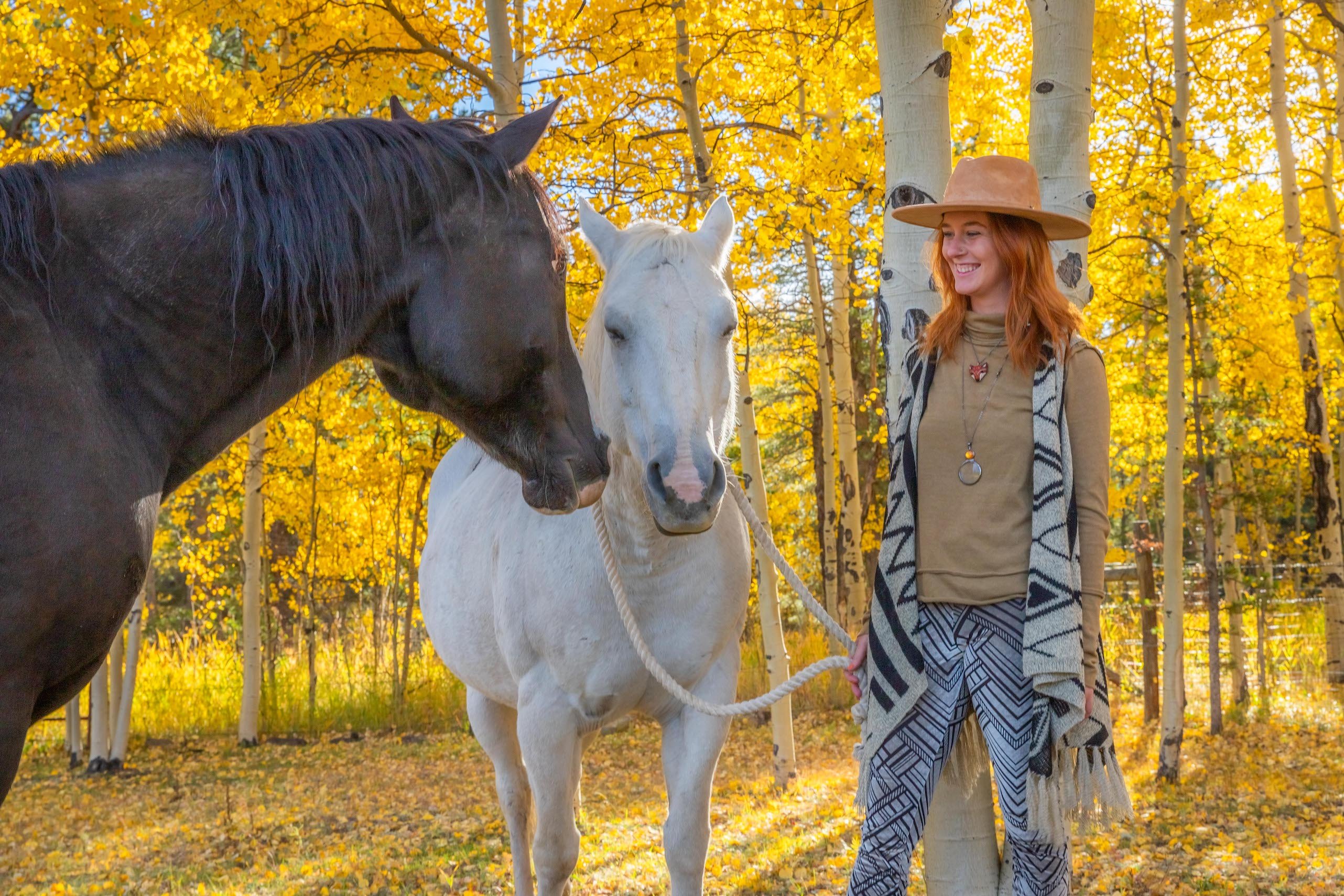 lexie glisson horses nature