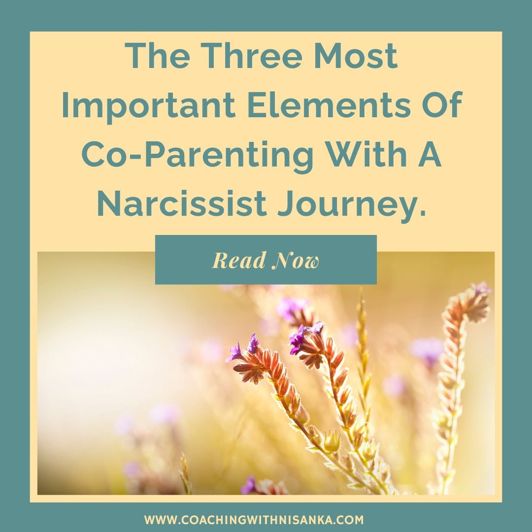 The Three Most Important Elements Of Co-Parenting With A Narcissist Journey.