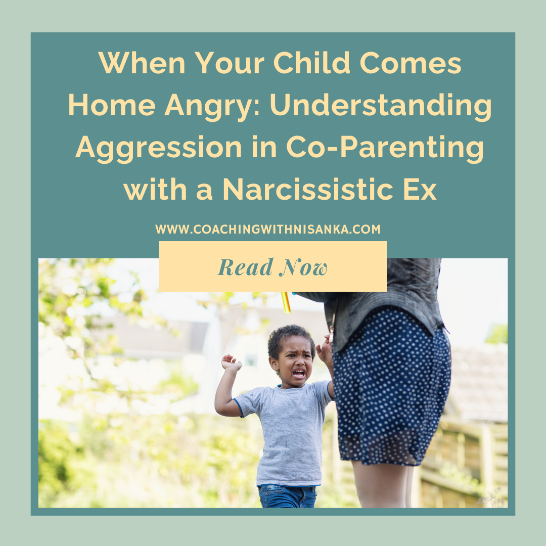 When Your Child Comes Home Angry: Understanding Aggression in Co-Parenting with a Narcissistic Ex