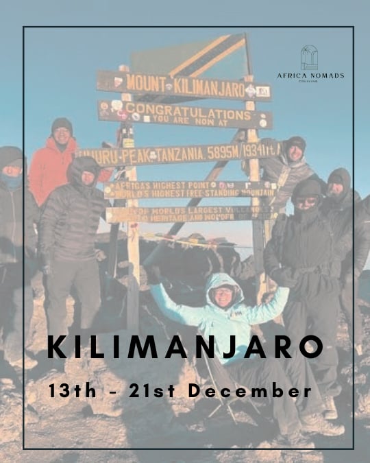 remote workers climb kilimanjaro