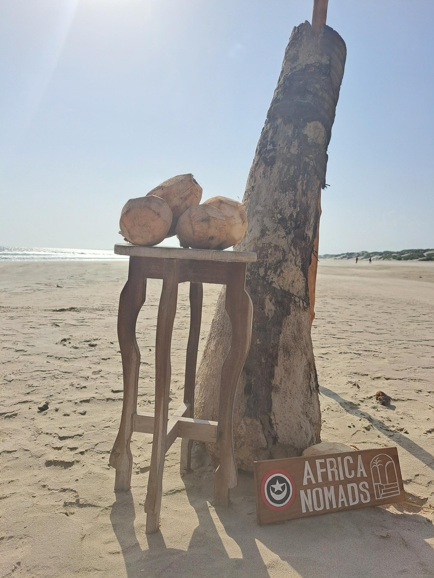 What do Digital Nomads like to do?
