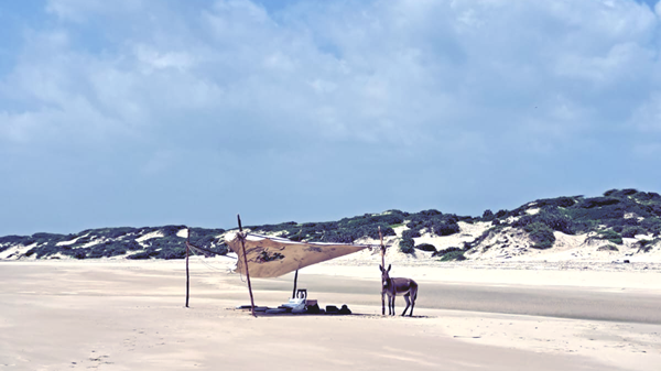 Deserted beach picnic with AfricaNomads