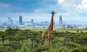 Which places to visit as a Digital Nomad in Kenya?