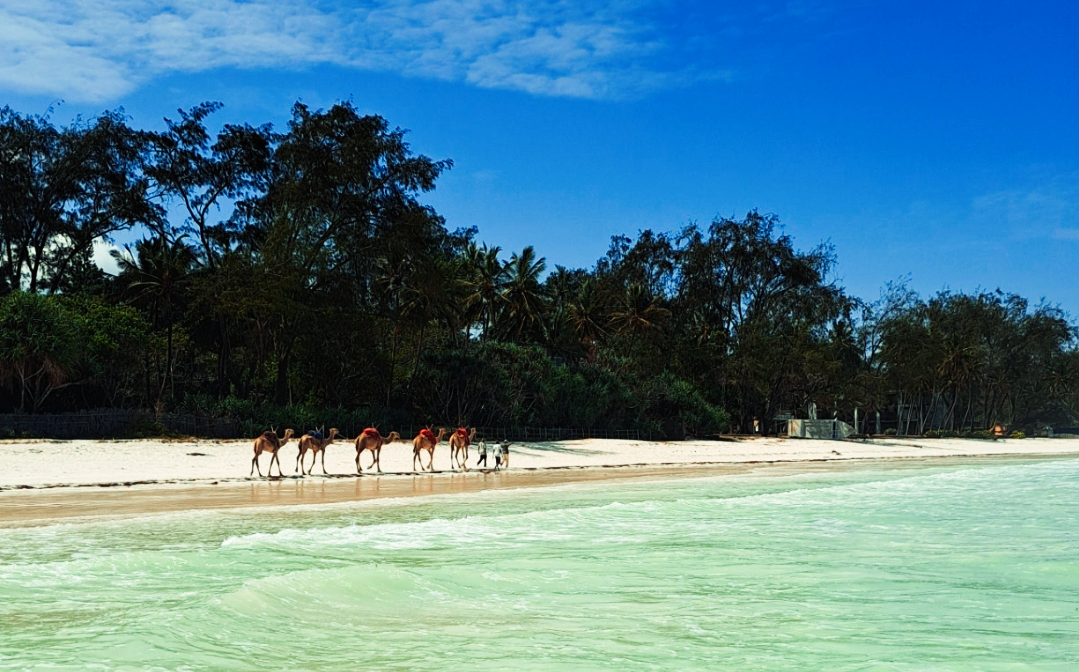 Diani is one of the best places for Digital Nomads in Africa - stay at AfricaNomads
