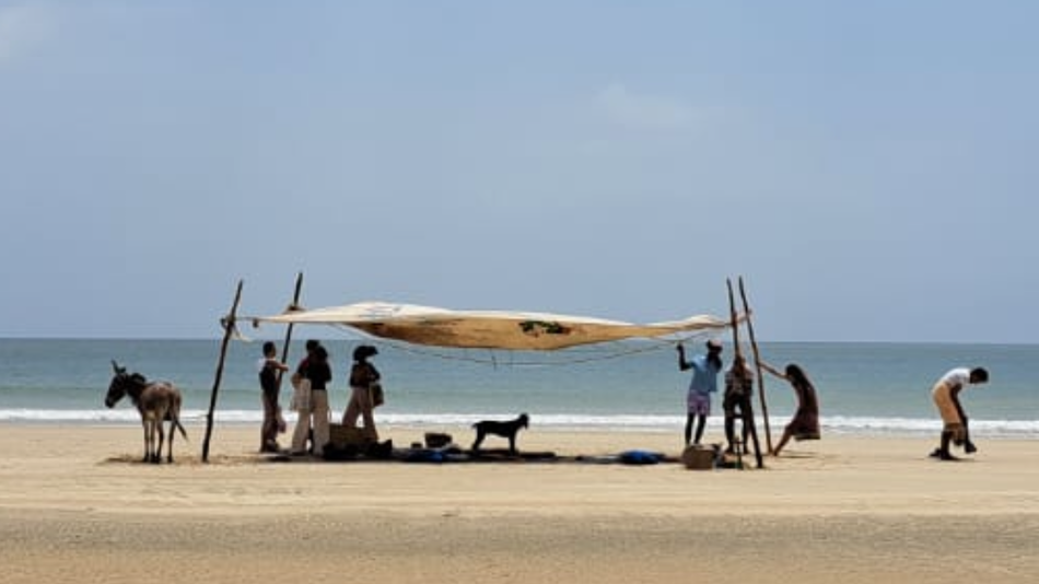 Travel Insurance for Digital Nomads and Remote Workers in Worldwide and in Africa