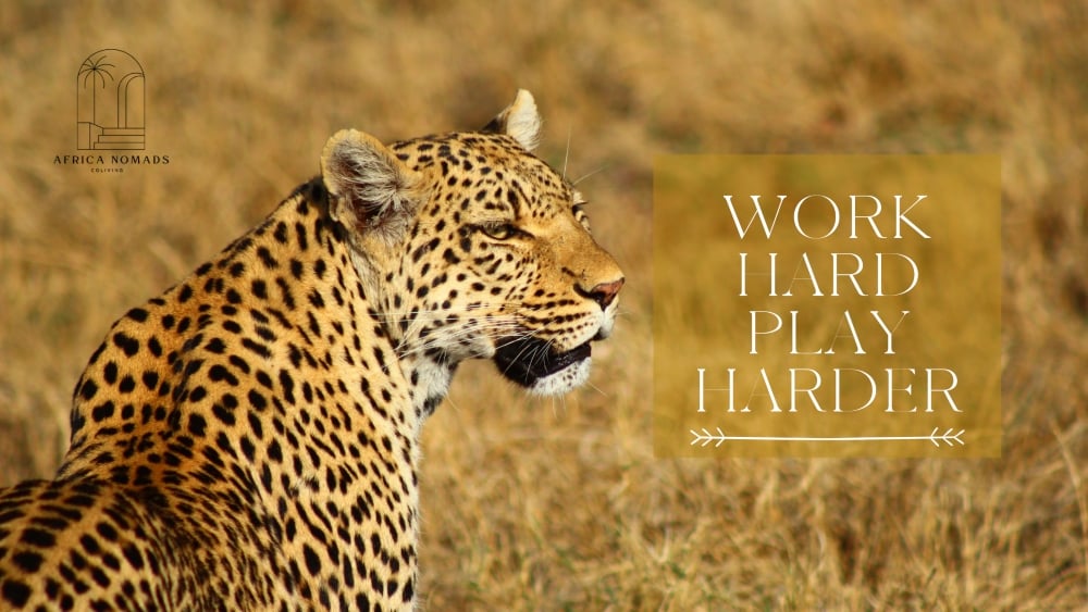 Which places to visit as a Digital Nomad in Kenya?