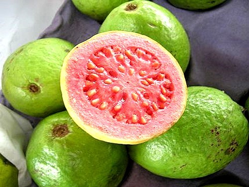 Guava and more