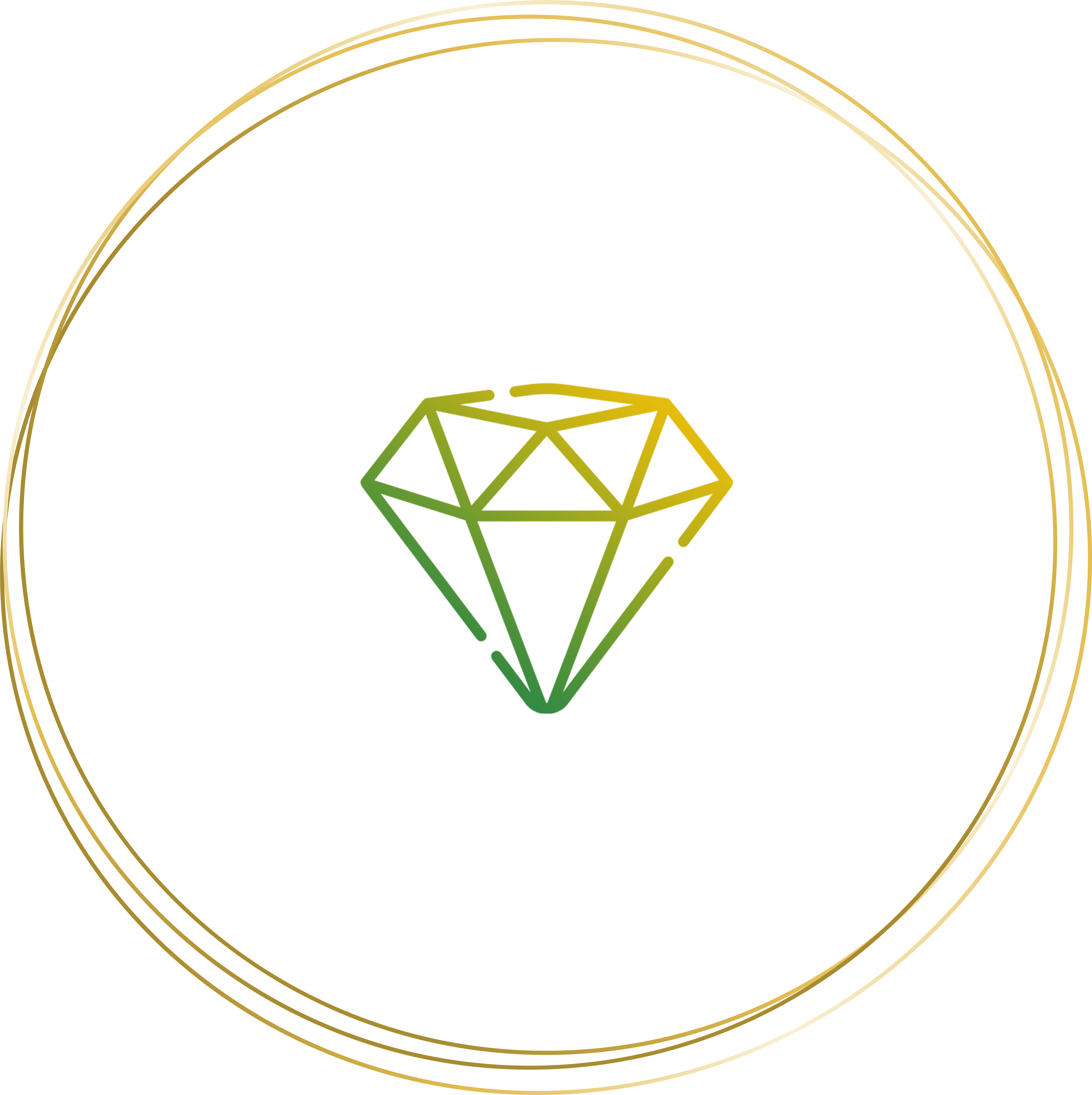 diamond logo of petrawellness