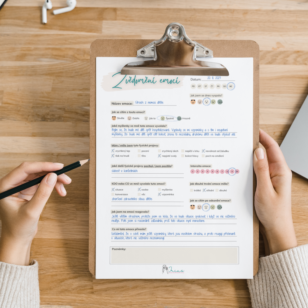 Průvodce - uvědoměn&iacute; emoc&iacute;