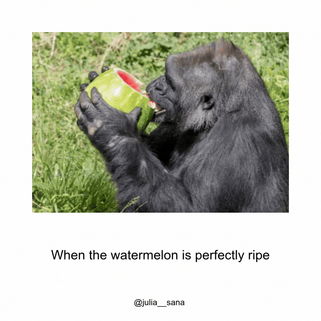 Meme Monday example