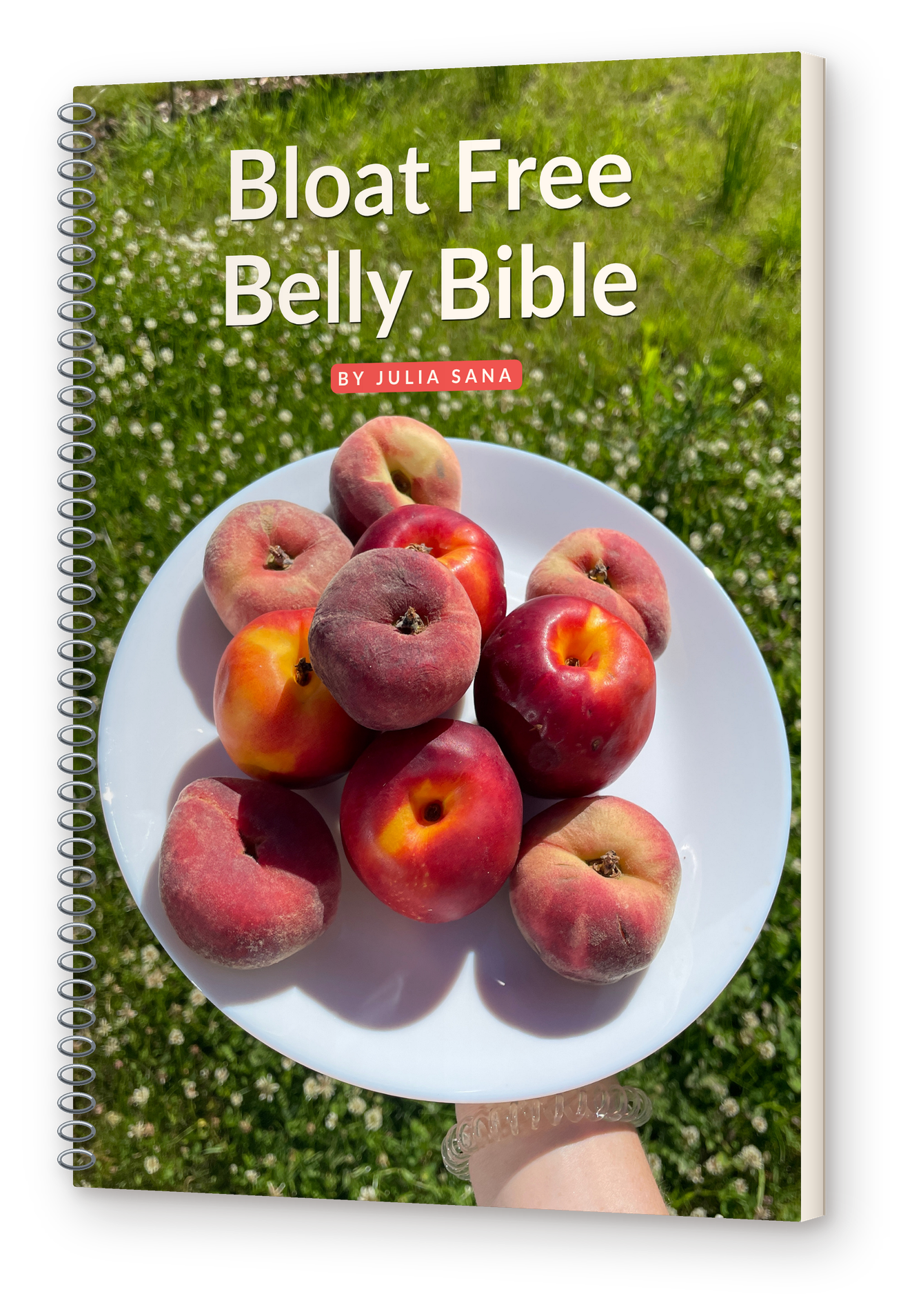 Bloat Free Belly Bible cover