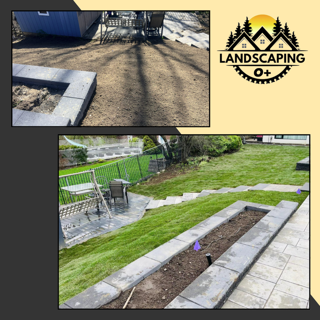 backyard sod installation
