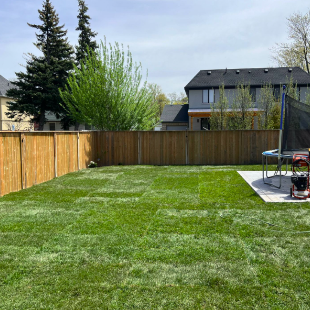 backyard sod installation