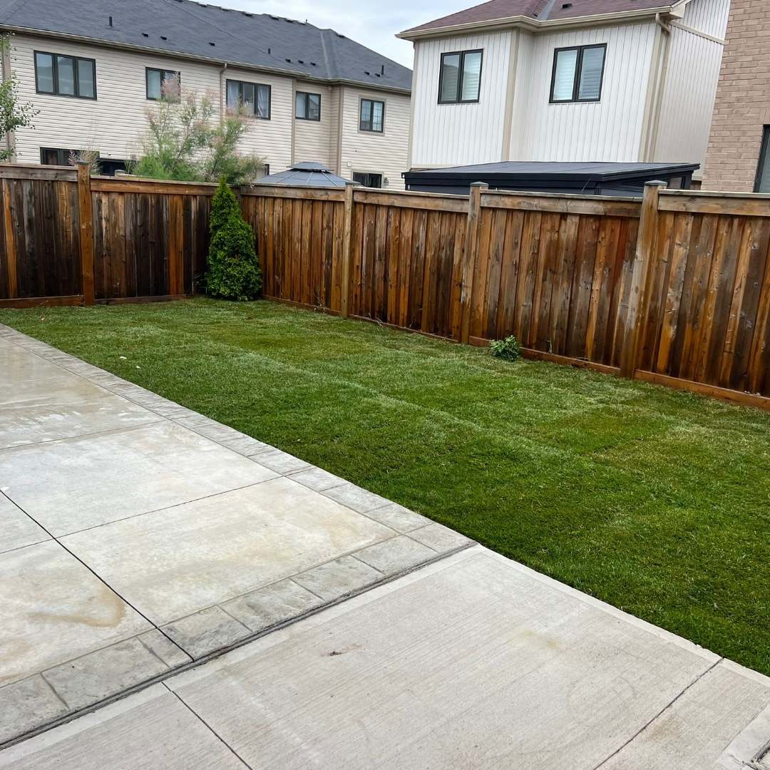 backyard sod installation