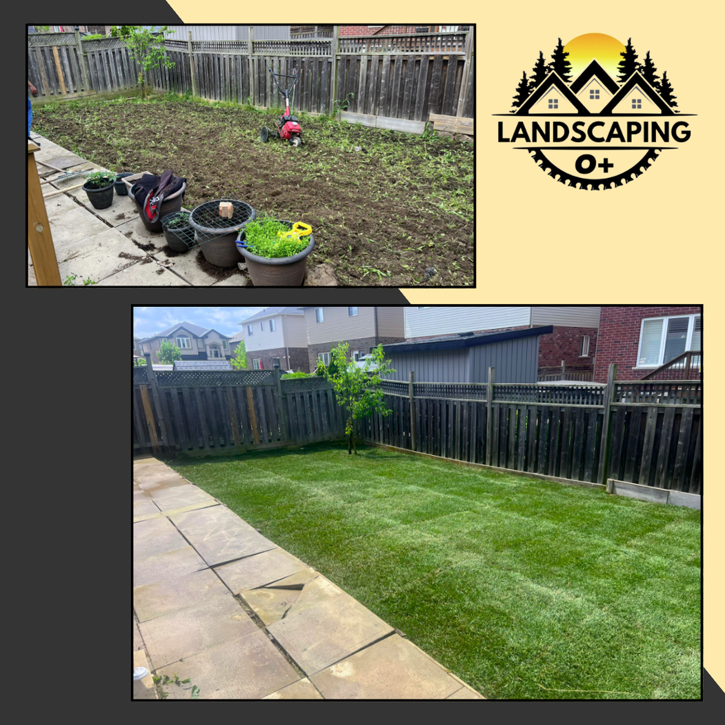 backyard sod installation