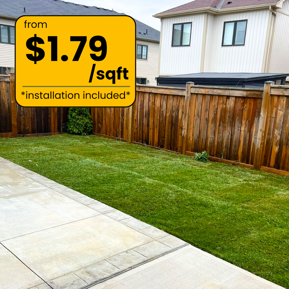 sod installation price