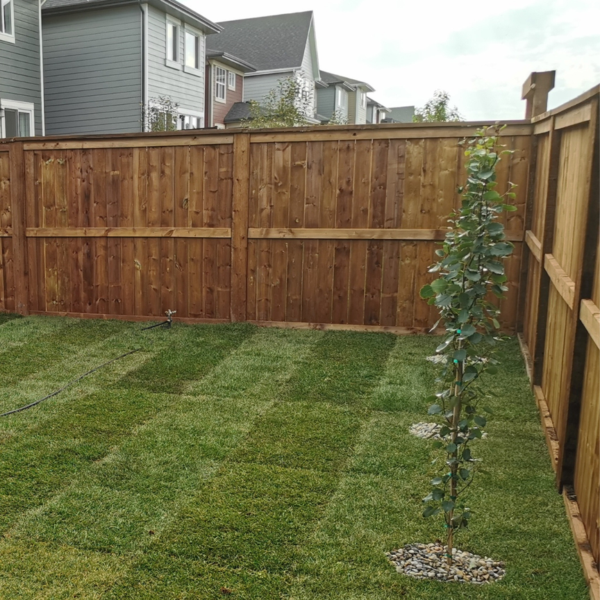 wood fence installation