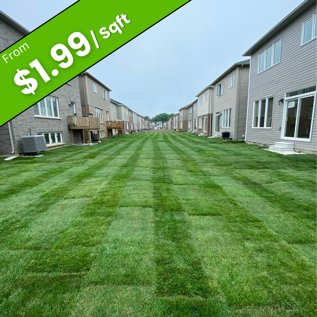 Interlock installation price