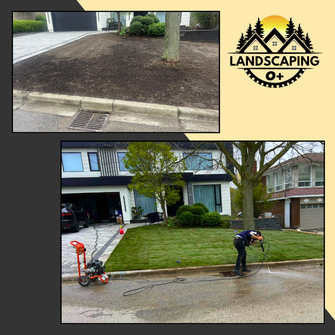 backyard sod installation