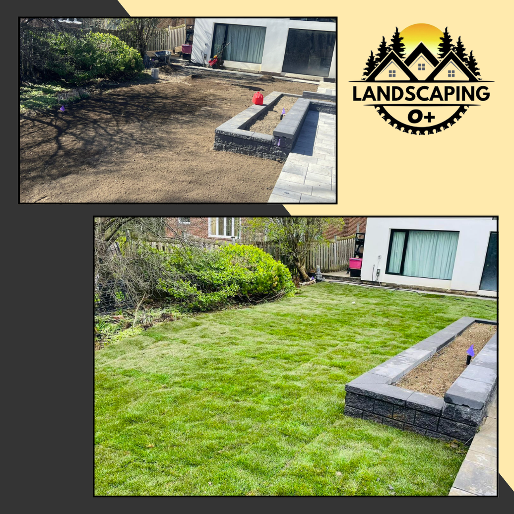 sod installation