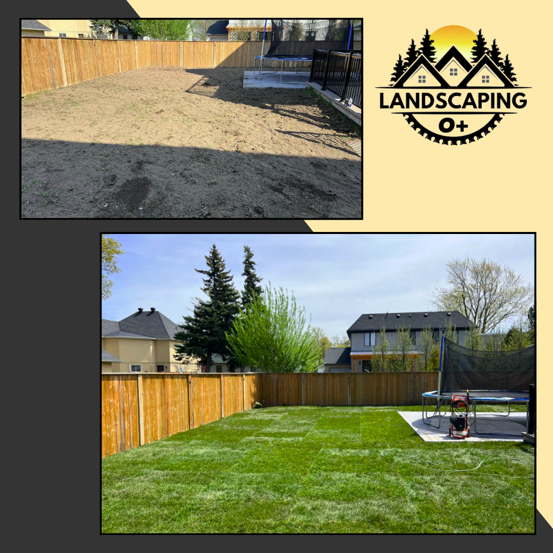 backyard sod installation