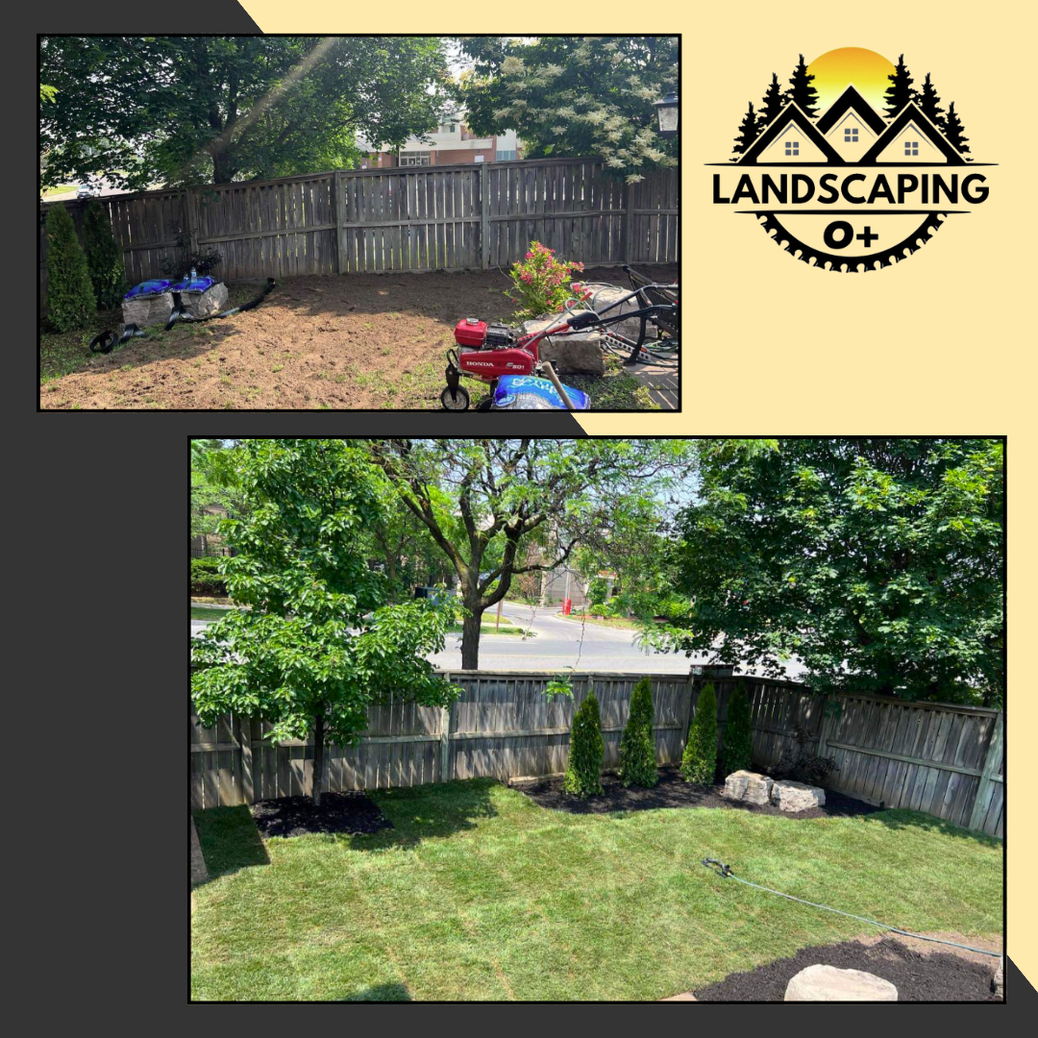 backyard sod installation