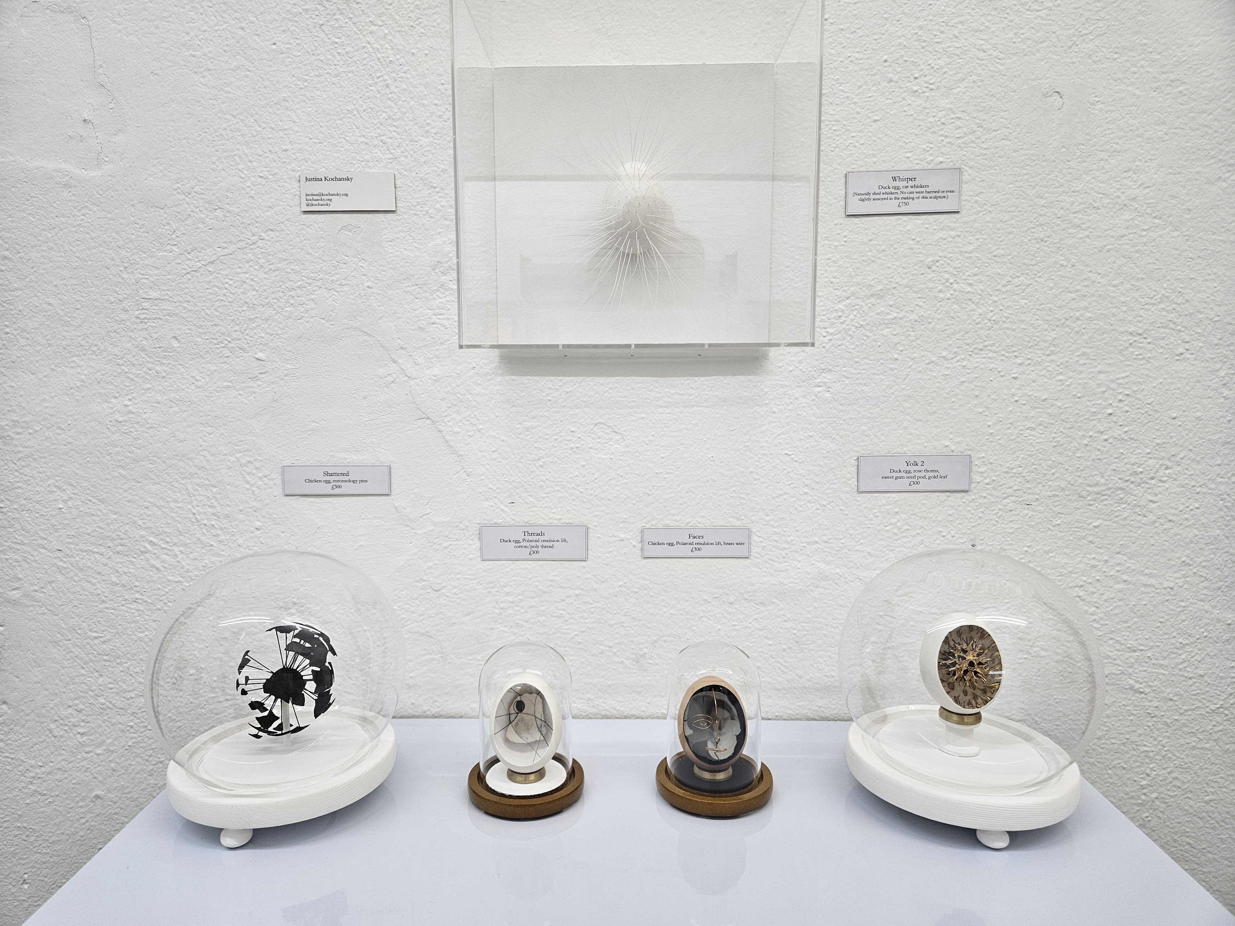 0raKaIqs5SvDnSE0nZG0tvqHXlvhLS5QYtXI7WRa