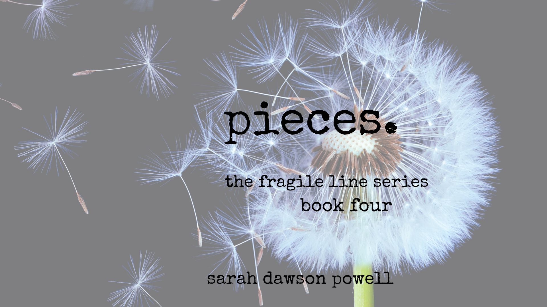 Pieces- The Fragile Line Series- Book Four- Preview