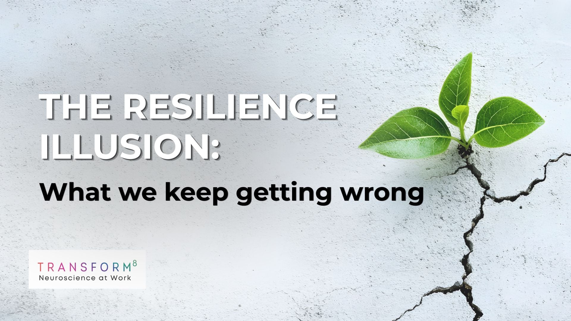 The Resilience Illusion: What we keep getting wrong
