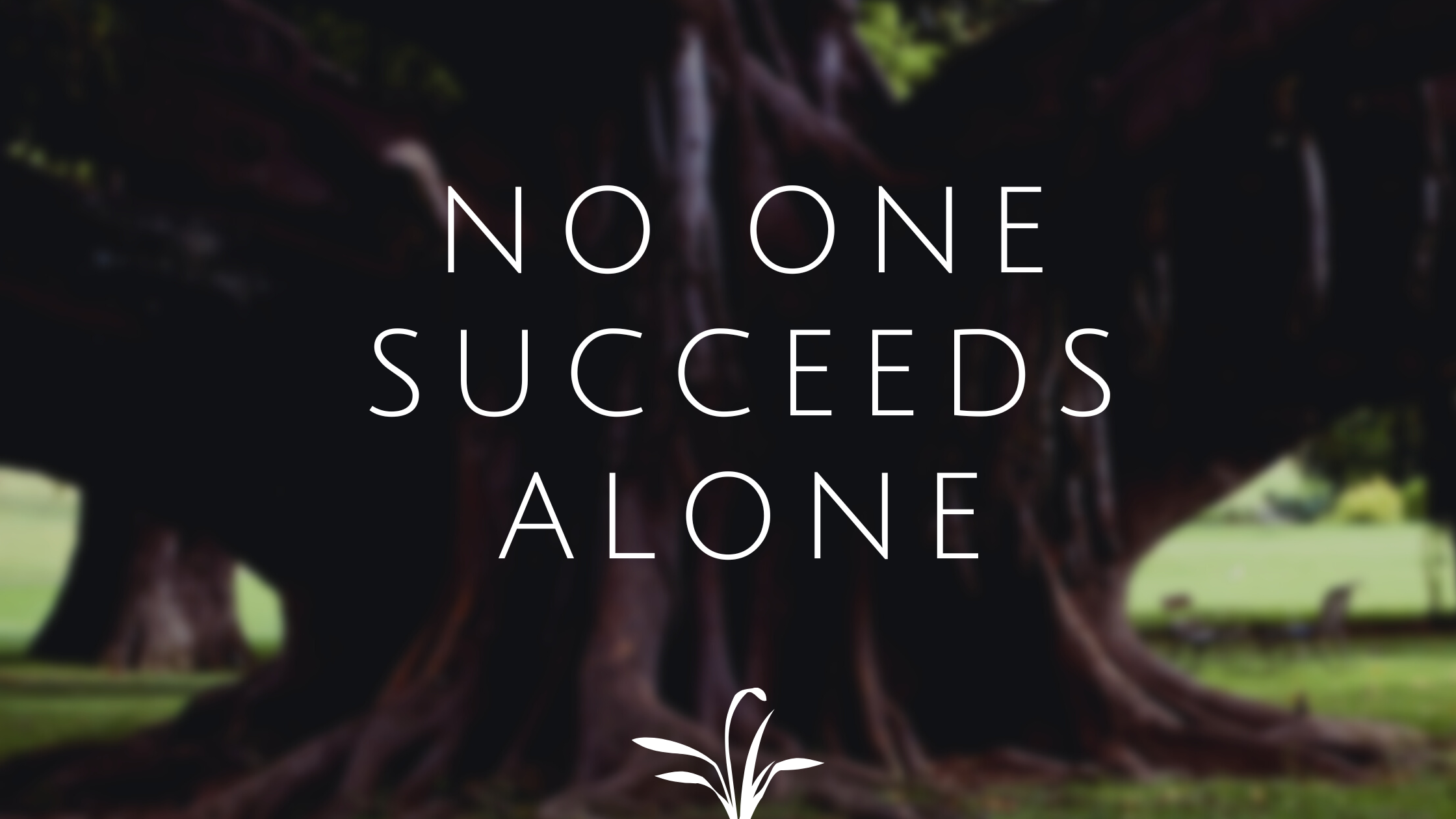No One Succeeds Alone