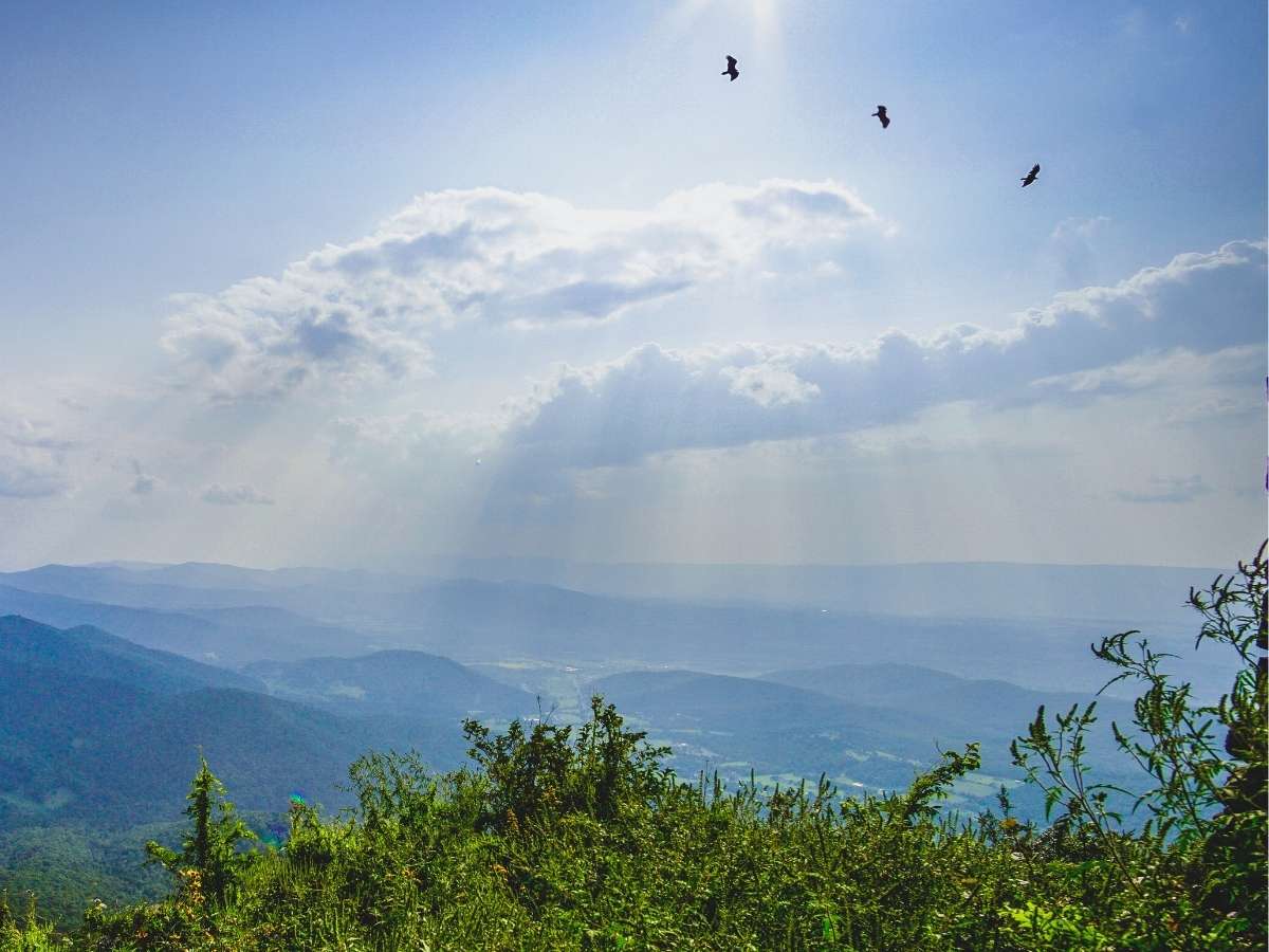 three-little-birds-flying-over-mountain-amy-orsini-life-coach-purley-london-uk