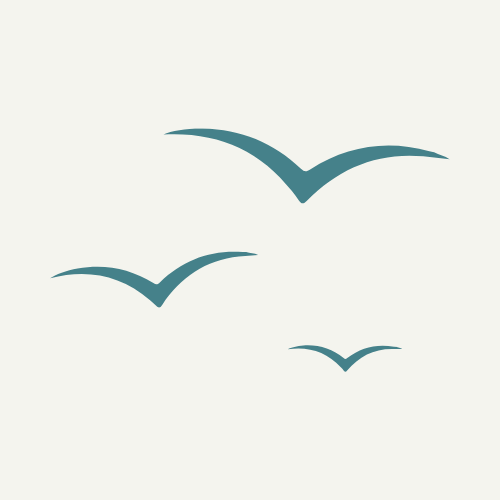 Three Little Birds Official logo showing three flying birds
