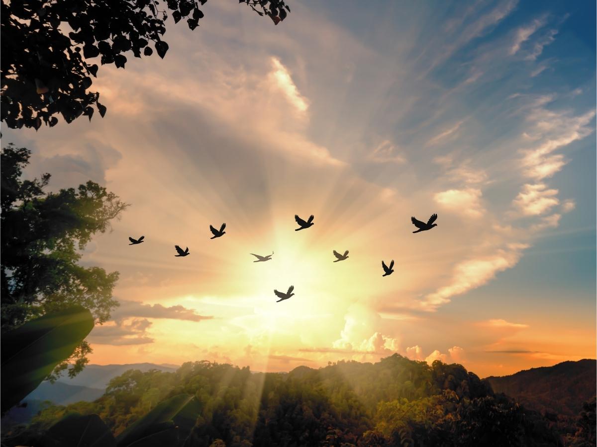 1-1-and-group-coaching-amy-orsini-three-little-birds-purley-london-uk