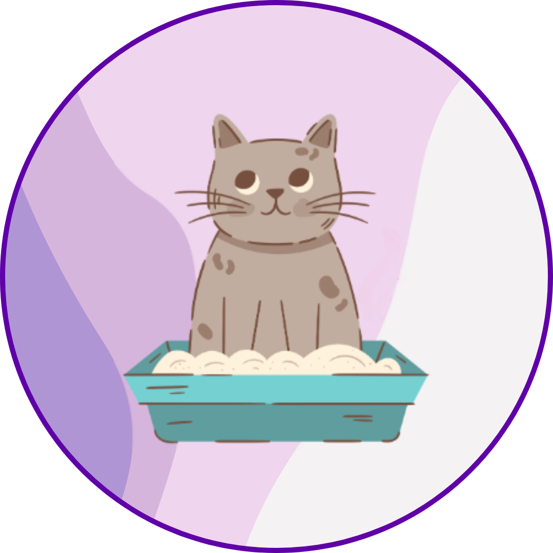 Why Automatic Litter Boxes Aren't It