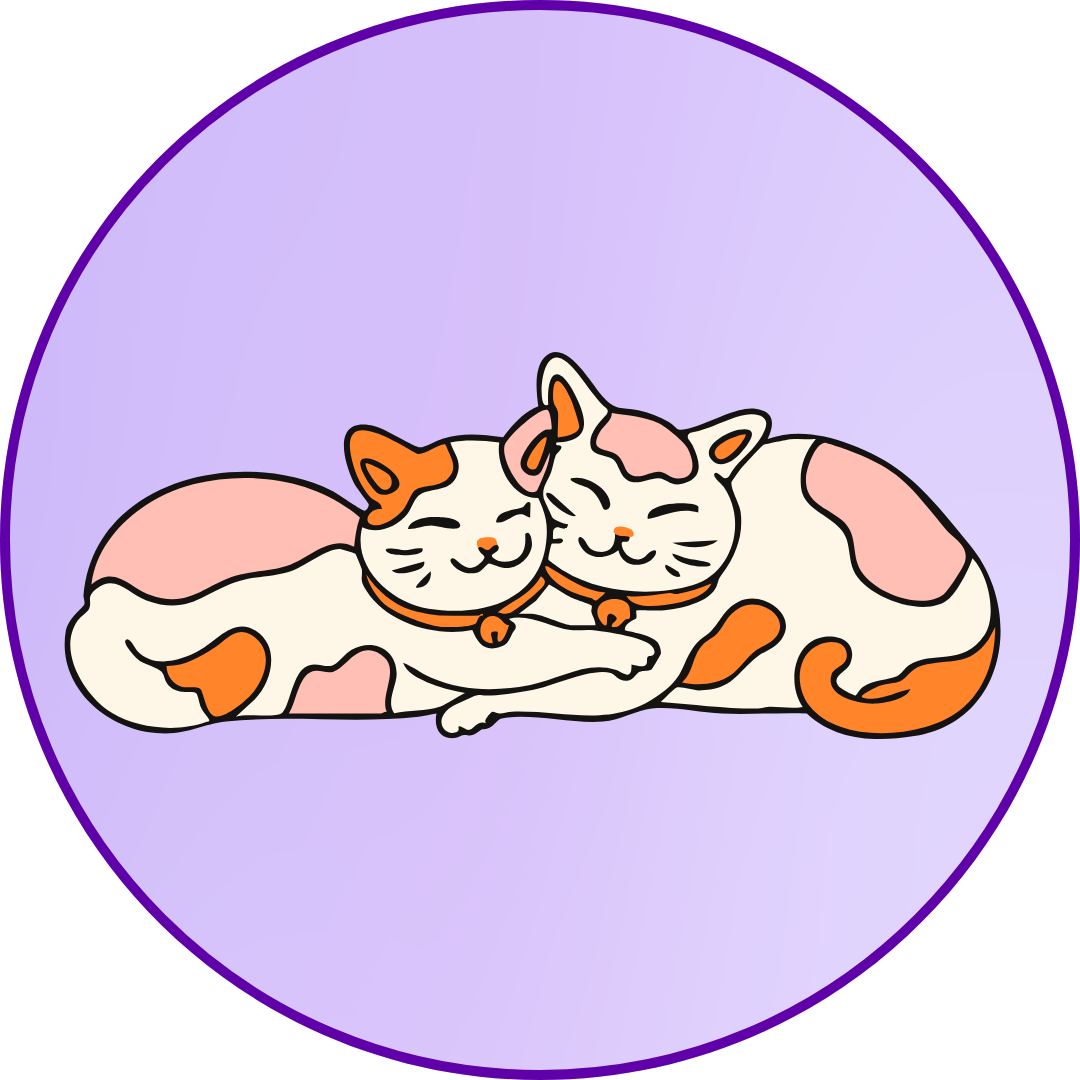 The Hard Truths About Keeping the Peace in a Multi-Cat Home