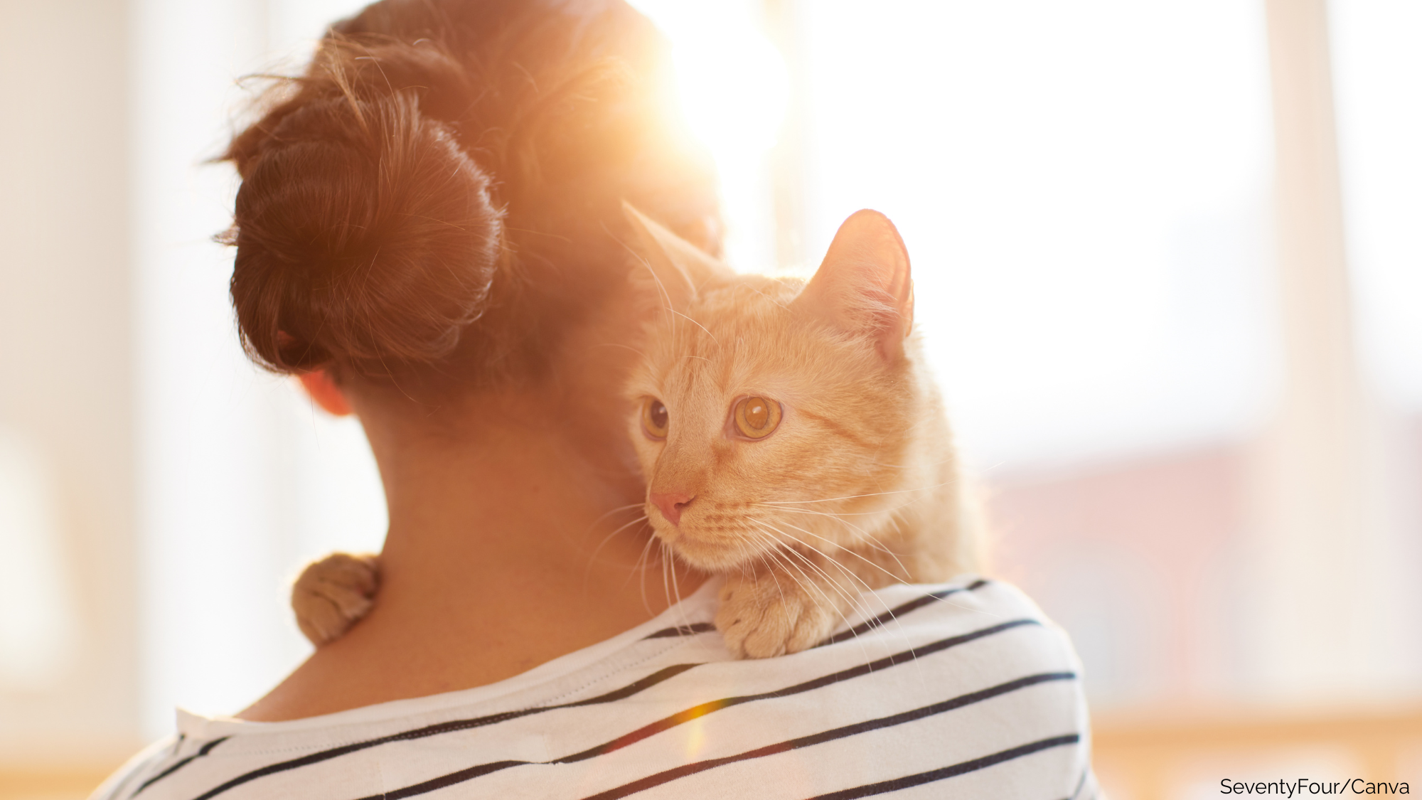 What To Expect When You’re Expecting… To Adopt a Cat