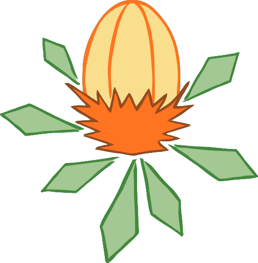 Banksia Journal's logo, a stylised banksia flower