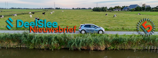 nieuwsbrief logo