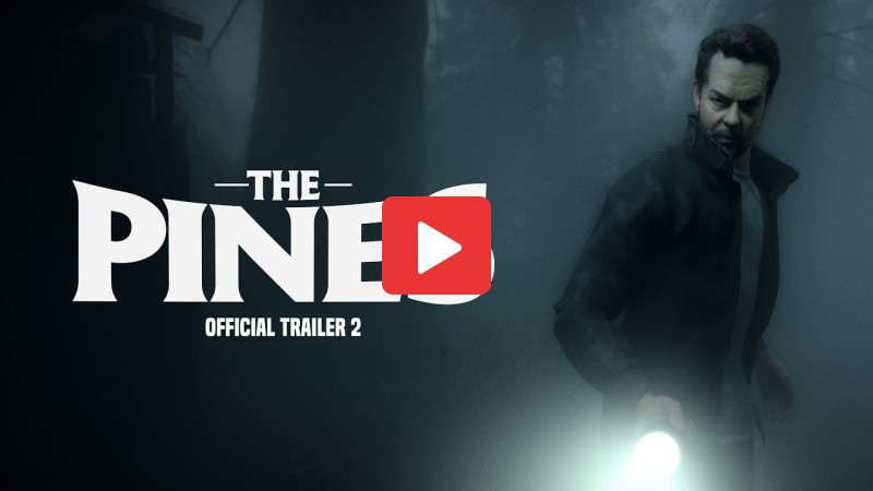 The Pines, captura de jugabilidad
