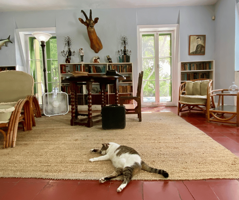 Hemingway House, 6-toed cat, Key West Florida