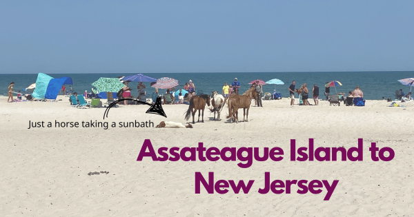 Assateague Island to New Jersey … halfway to Maine in an RV