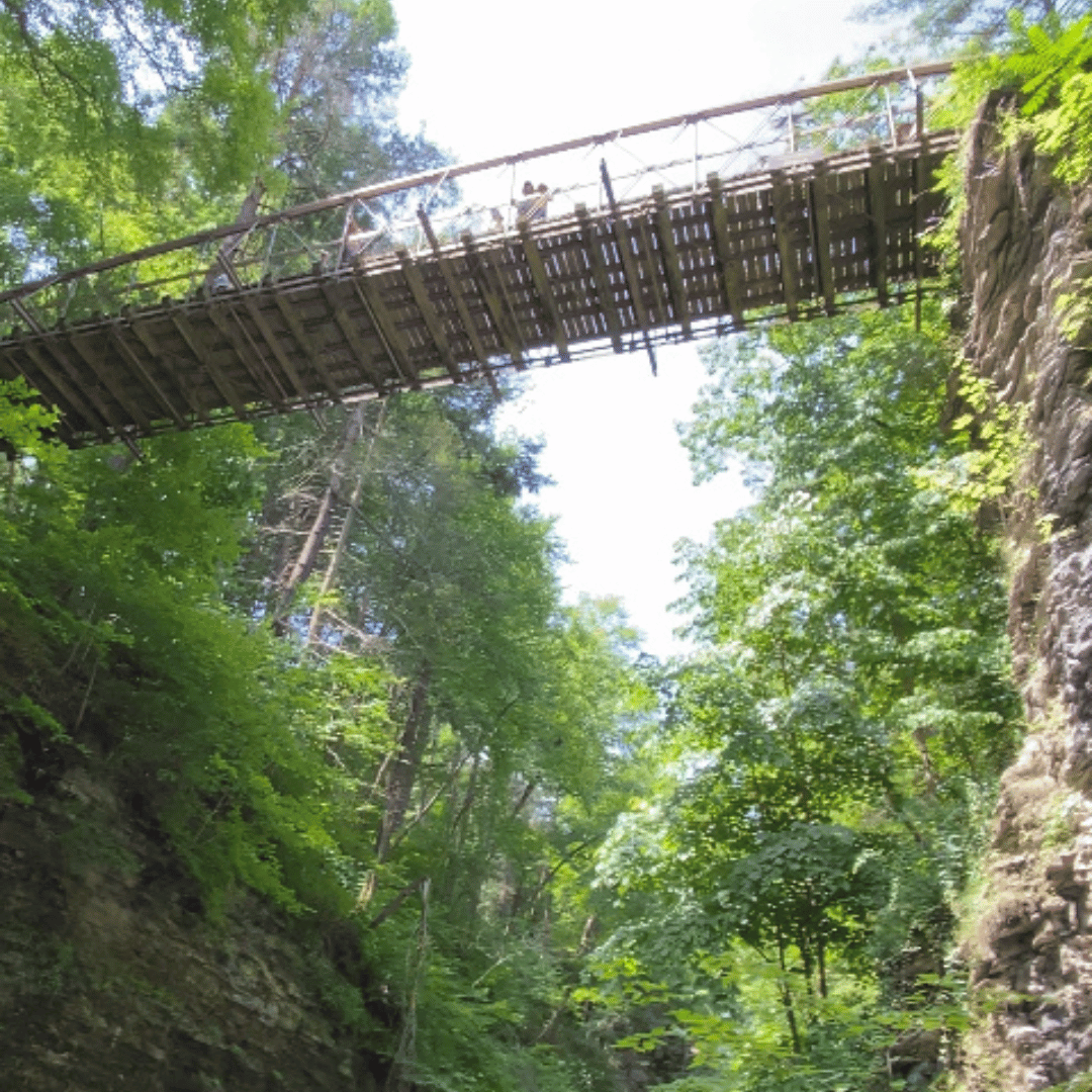 Watkins Glen suspension bridge