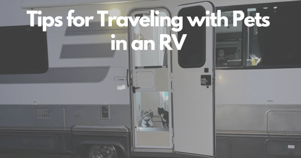 Tips for Traveling with Pets in an RV