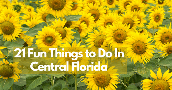 21 Fun Things to Do In Central Florida - By County