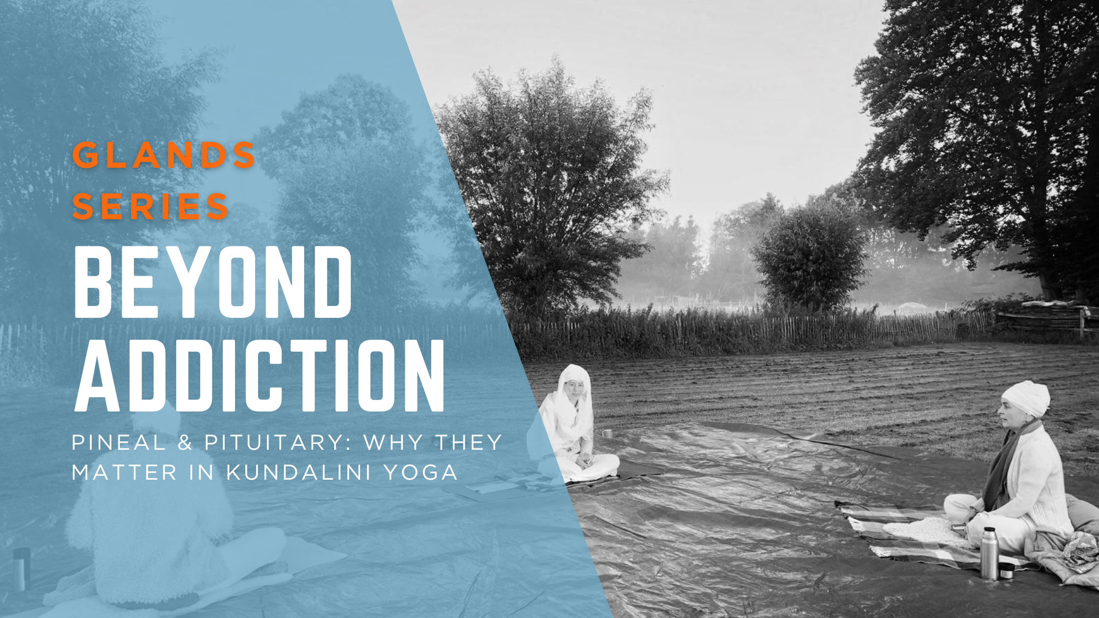 Addiction and Your Glands: A Kundalini Yoga Perspective
