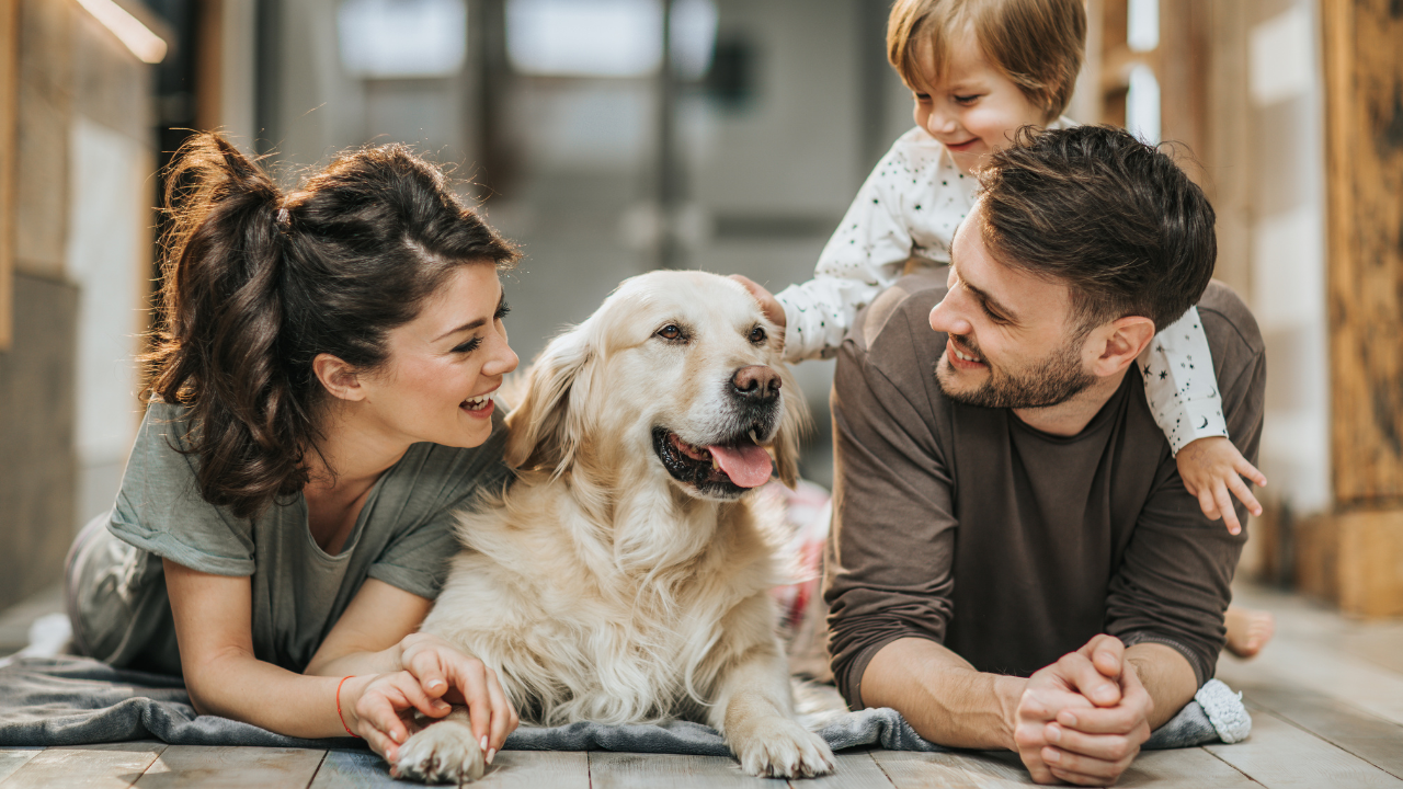 10 Tips for Welcoming Your New Rescue Dog Into Your Family