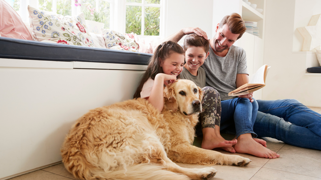 Bonding Activities for Families and Their Rescue Dogs