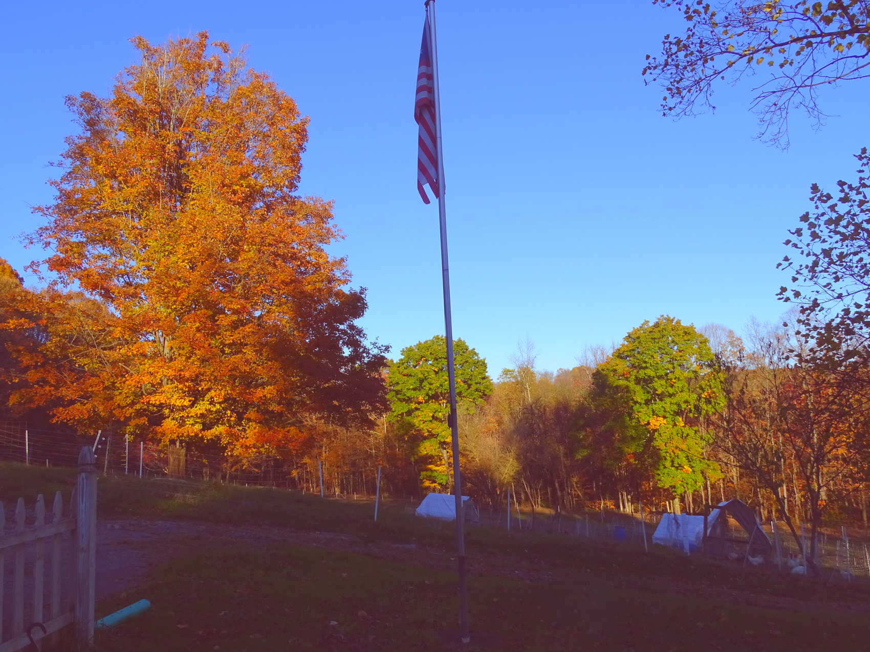 What Do You Want to Eat?