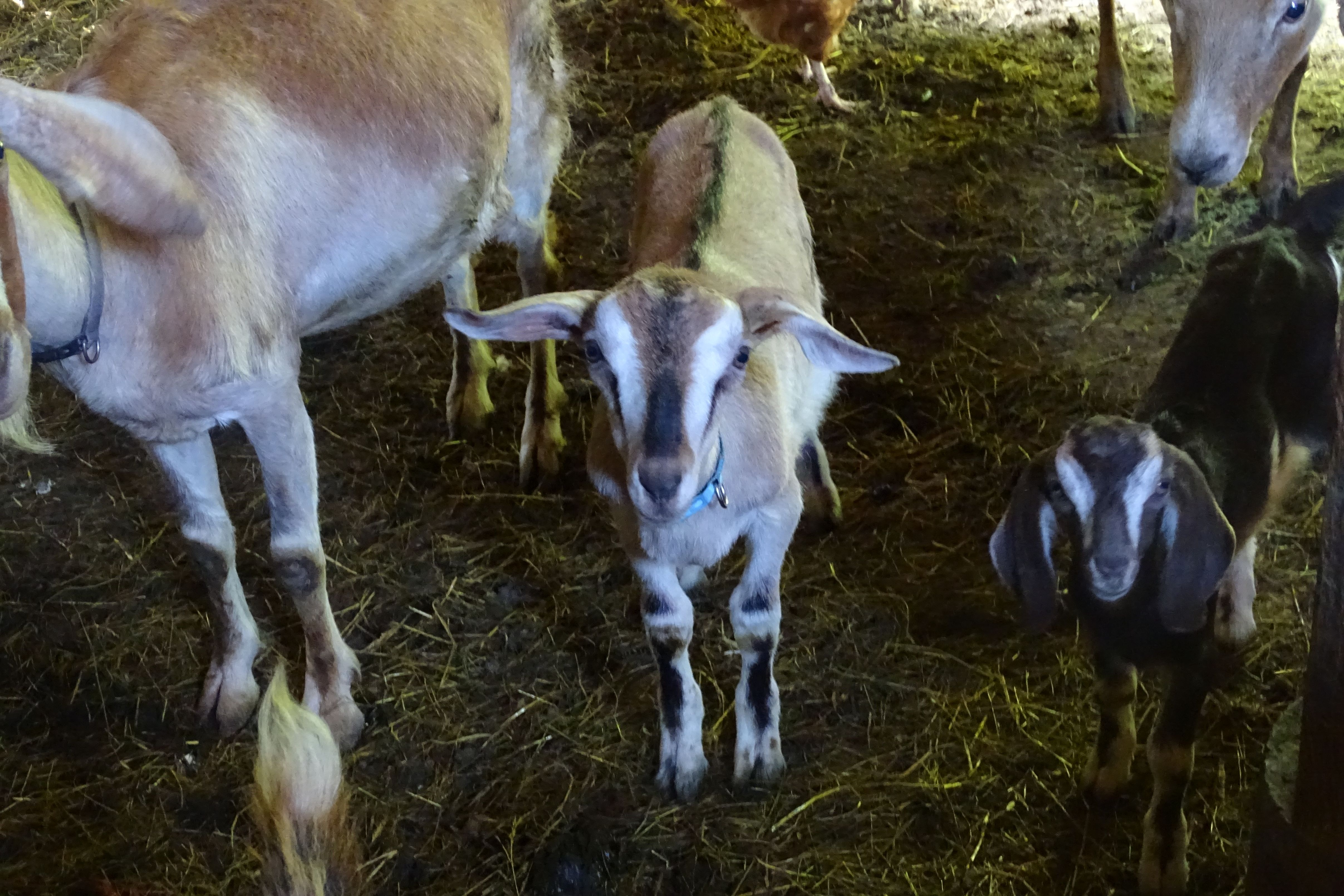 The Heat of the Moment