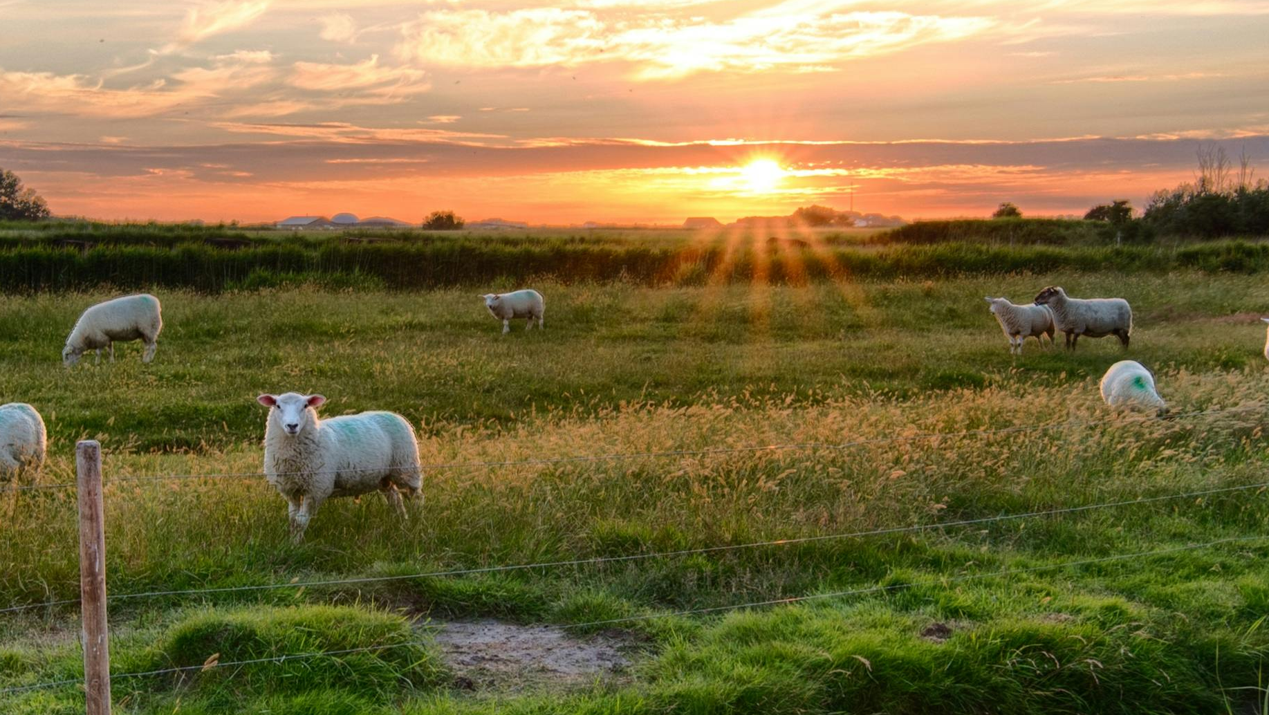 To Everything There is a Season